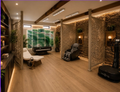 Healing Suite (90 min protocol)